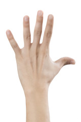 Hand holding out five fingers isolated on a white background