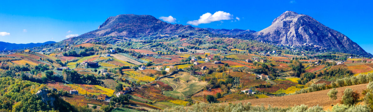 Colorful carpet of vineyards in autumn colors. Benevento, Italy
