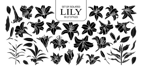 Set of isolated silhouette lily in 27 styles. Cute hand drawn flower vector illustration in white outline and black plane.