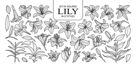 Satz isolierter Lilien in 27 Stilen. Niedliche handgezeichnete Blumenvektorillustration im schwarzen Umriss und im weißen Flugzeug. © Plawarn