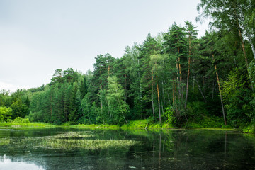 Beautiful pond with clear water in the forest