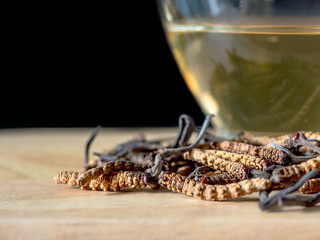 Select focus of mushroom cordyceps (CHONG CAO) this a herbs. With a glass of water, add water from the Ophiocordyceps sinensis extract. Medicinal properties in the treatment of diseases.