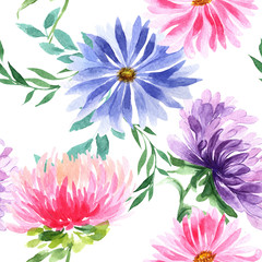 Wildflower aster flower pattern in a watercolor style. Full name of the plant: aster. Aquarelle wild flower for background, texture, wrapper pattern, frame or border.