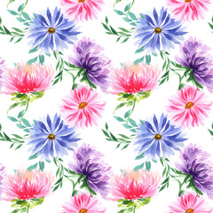 Fototapeta na wymiar Wildflower aster flower pattern in a watercolor style. Full name of the plant: aster. Aquarelle wild flower for background, texture, wrapper pattern, frame or border.