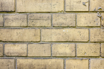 Obraz premium Gelbe alte Backsteinwand