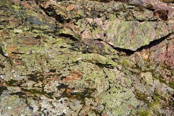 Feldswand in warmen Farben