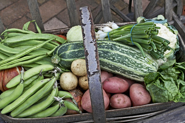 Fresh garden vegetables in a trug