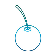 cherry icon over white background vector illustration