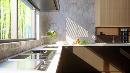 Kitchen in modern style