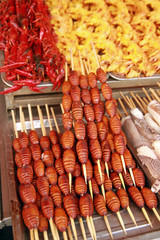 Silkworms, Wangfujing Snack Street, Beijing, China