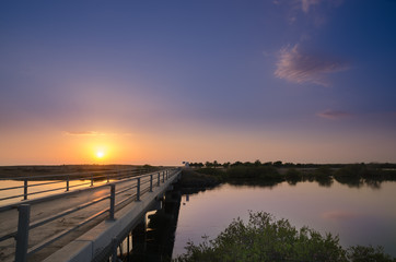 Fototapeta na wymiar Bridge at Khor Kalba mangrove reserve