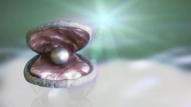 Pearl shell open render 3D