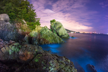 A Beautiful Nightscape Of Rocks With Blue Colored Glowing Bioluminescent Plankton By The Sea Of Okpo Located In Geoje Island, South Korea.