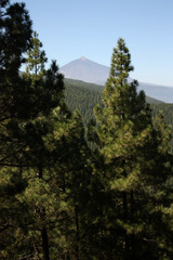 Parque nacional del Teide