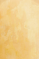 Wall paint