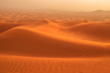 Fototapeta na wymiar Desert sand dunes