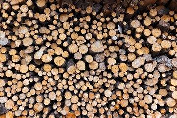 Firewood logs wood background