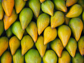 Lucuma fruit background