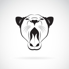 Vector of a female lion open mouth on white background. Wild Animals.