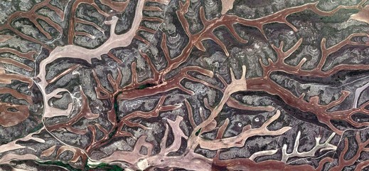 montería, allegory, tribute to Matisse, abstract photography of the Spain fields from the air,...