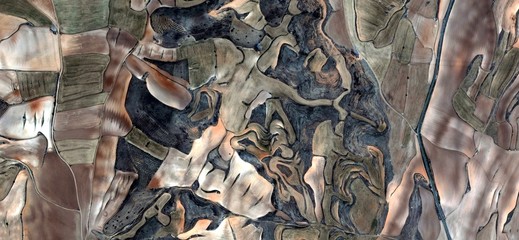 wood and earth, allegory, tribute to Picasso, abstract photography of the Spain fields from the...