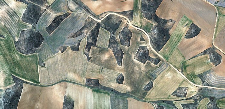faithful friend, allegory, tribute to Picasso abstract photography of the Spain fields from the air, aerial view, representation of human labor camps, abstract, cubism, abstract naturalism,