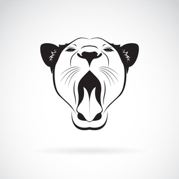 Vector of a female lion open mouth on white background. Wild Animals.