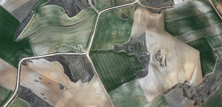 camouflaged bustard, allegory, tribute to Picasso abstract photography of the Spain fields from the air, aerial view, representation of human labor camps, abstract, cubism, abstract naturalism,