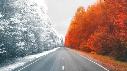 Fotobehang Herfst winter and autumn in one photo of the road    © pavelkant