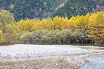 Autumn in Japan at Kamikochi national park