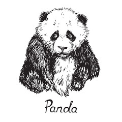 Obraz na płótnie Canvas Giant panda cube sitting, hand drawn doodle sketch with inscription, vector illustration