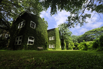 Obraz premium Building in green