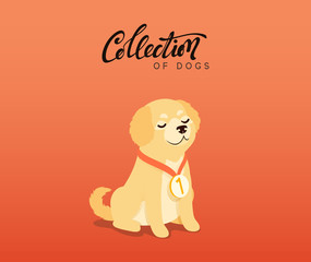 Cute dogs labrador and golden retriever. Flat animal cartoon character.