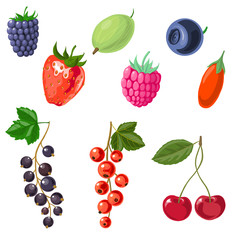 branch of black currant