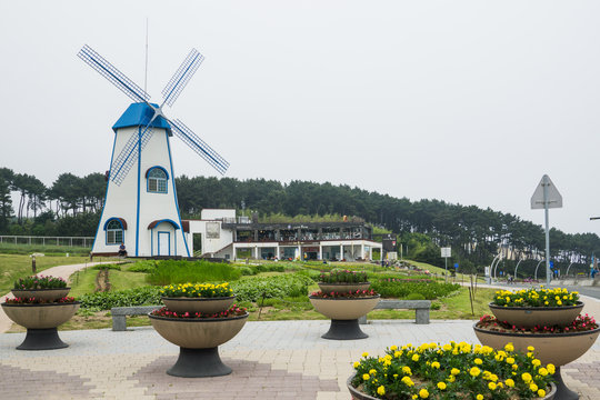 Beautiful windmills and cafes at Ganjeolgot in Ulsan