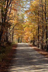 Vermont Country Road Autumn 