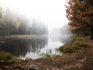 Misty autumn morning by the riverside.
F&auml;rnebofjarden national park in Sweden.