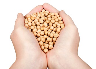 Human hand holding soybean, with field  in background