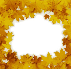 Naklejka na ściany i meble Autumn maple leaves isolated on white. Vector