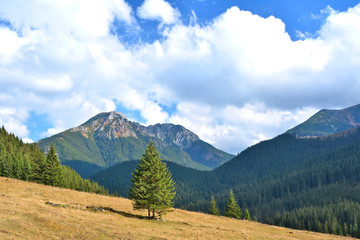 Chocholowska valley in Tatra mountain, Poland