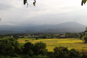 field and mountain  