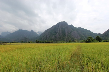 field and mountain