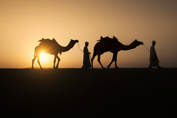 Fototapeta na wymiar Rajasthan travel background - two indian cameleers (camel drivers) with camels silhouettes in dunes of Thar desert on sunset. Jaisalmer, Rajasthan, India