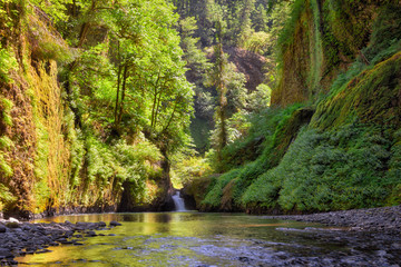 Columbia Gorge Waterfall Summer in Oregon USA America