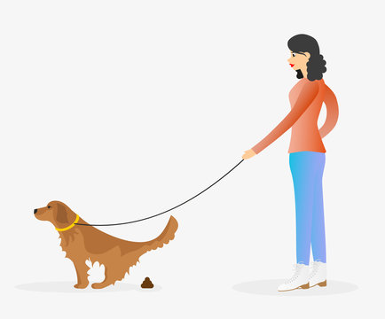 Girl walking a dog. Golden retriever pooping.
