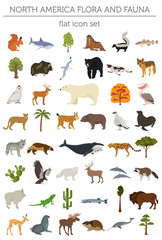 North America flora and fauna flat elements. Animals, birds and sea life big set. Build your geography infographics collection