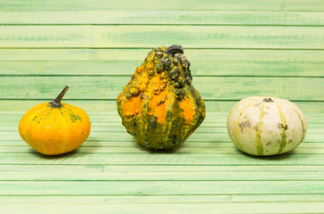 Three different pumpkins on wooden background