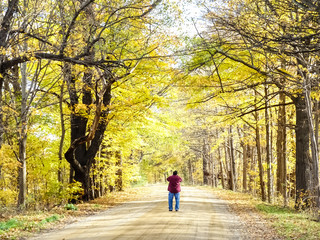 Solitary man walking down middle of golden autumn road