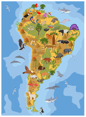 South America flora and fauna map, flat elements. Animals, birds and sea life big set. Build your geography infographics collection