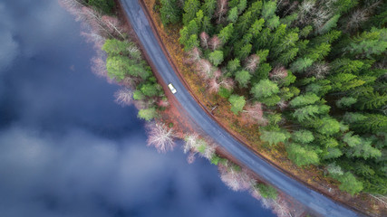 Curving road along lake during autumn